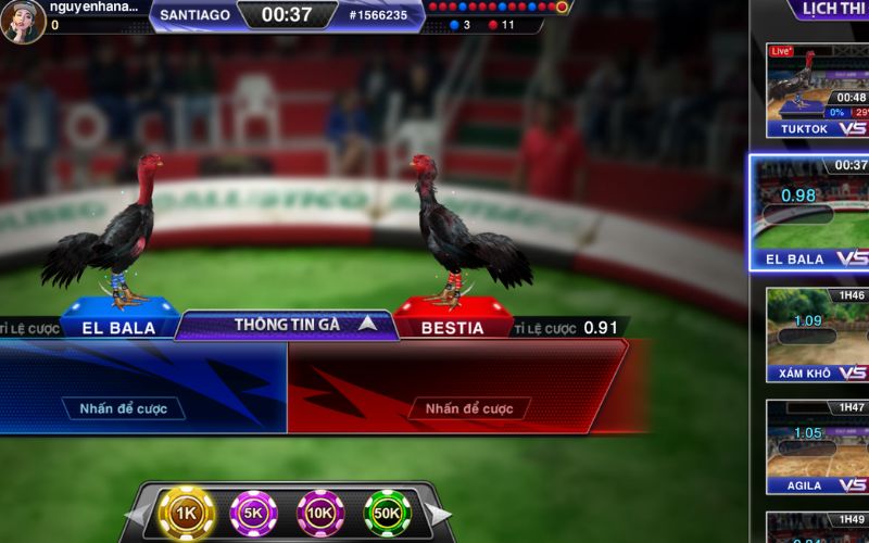 đá gà online